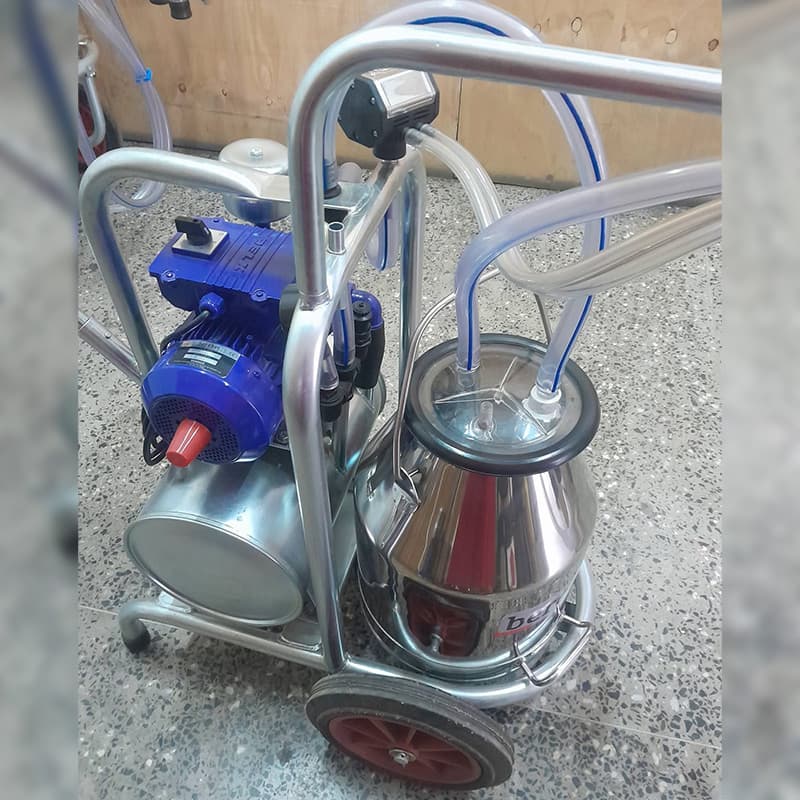Portable milking machine